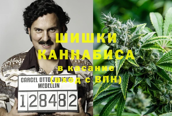 ГАЛЛЮЦИНОГЕННЫЕ ГРИБЫ Алексеевка