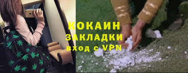 ГАЛЛЮЦИНОГЕННЫЕ ГРИБЫ Алексеевка