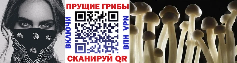 Галлюциногенные грибы мухоморы  Курлово 